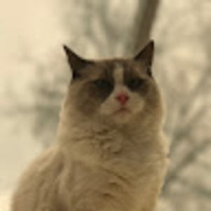 Meet your Posher, Elijah